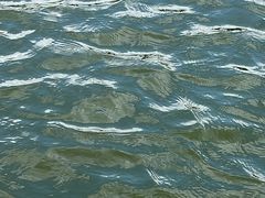 -珠海圆明新园