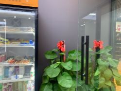 -藤野造型烫染·漂发