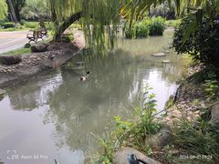 -苏州河梦清园环保主题公园