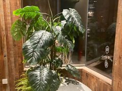 -稻鲜记潮汕砂锅粥