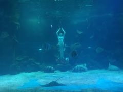 -石家庄海洋公园