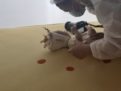 -玛瑞莎专业孕妇摄影(越秀店)