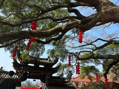 -福建泉州仙公山风景名胜区