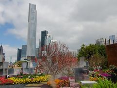 -海心沙亚运公园