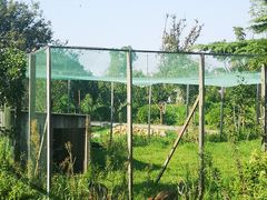 -九善农植有机生活农场