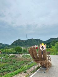 -密云玫瑰情园