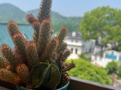 -马灯部落·西湖边的创意山景餐厅(虎跑动物园店)