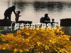 -南翔镇银翔湖公园