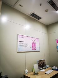 -碧莲盛·不剃发植发