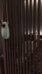 -肥三针腧穴瘦身馆