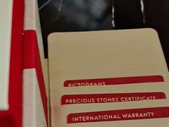 -奢收多·二手奢侈品回收中心(国际广场店)
