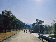 -东钱湖旅游度假区