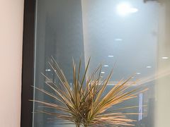 -牙博士口腔品牌连锁(昆山城区店)