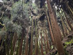 -太阳湾风景区