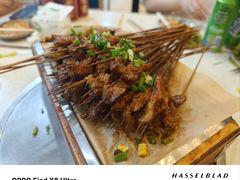 -晓靖轩烧烤(沙河风情店)