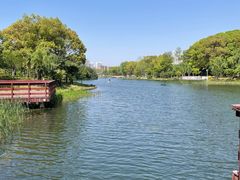 -新江湾城公园