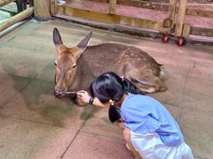 -正佳雨林生态植物园