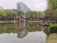 -陈家山荷花公园