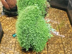 -华源足浴棋牌SPA