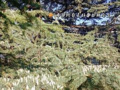 -国家植物园南园