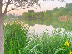 -Supine Bistro溯泮餐厅