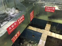 -老凯俚酸汤鱼(鸿通城店)