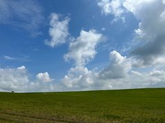 -石记科尔沁肥牛(泰和店)