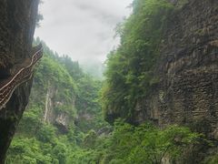 -鹿院坪生态旅游景区