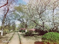 -永定河休闲森林公园