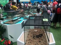 -中国杭州低碳科技馆