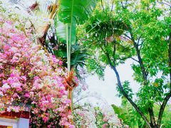 -深圳国际园林花卉博览园