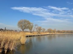 -野鸭湖国家湿地公园