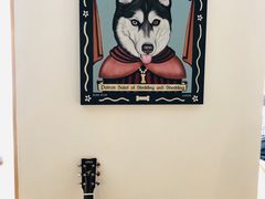 -Husky Go! 哈士奇体验馆·宠物咖啡厅狗咖