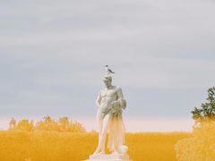 -杜乐丽花园