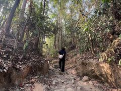 -火炉山森林公园