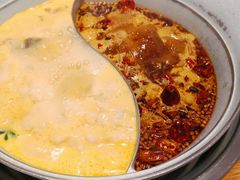 -青瓷火锅料理(西单大悦城店)