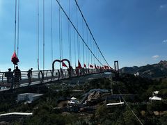 -西霞口神雕山野生动物世界