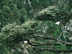 -大明山自然探索公园