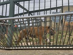-无锡动物园·太湖欢乐园
