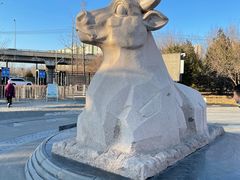 -永定河休闲森林公园