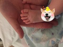 -上海交通大学医学院附属仁济医院(南院)