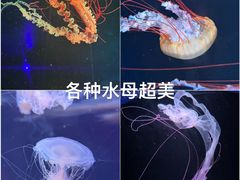 -欢乐海岸海洋奇梦馆