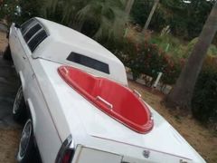 -信不信由你博物馆