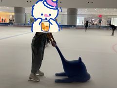 -TheRink大零溜冰场(IFS国金中心店)