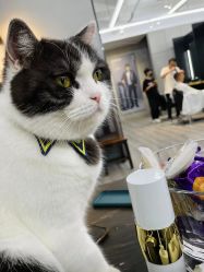 -塞巴斯汀SEBASTIAN专业美发店