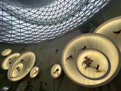 -陕西自然博物馆