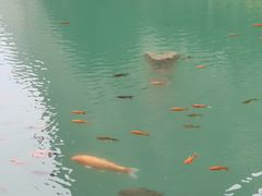 -山西通天峡景区