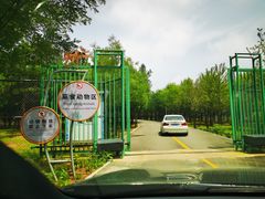 -秦皇岛野生动物园