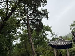 -青岛崂山太清宫