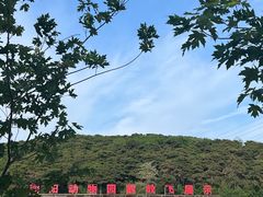 -沈阳森林动物园